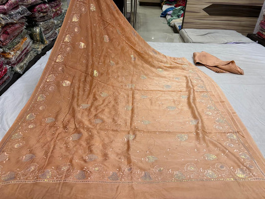 Soft Peach Sitara Work Saree